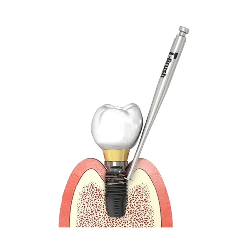 T-Brush