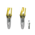 Abutmenti