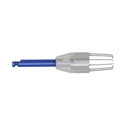 R-Brush1