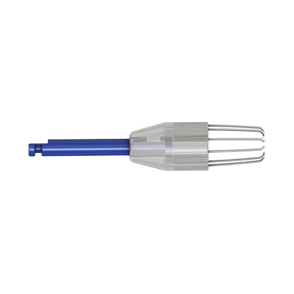 R-Brush1