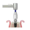 R-Brush1