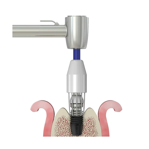 R-Brush1